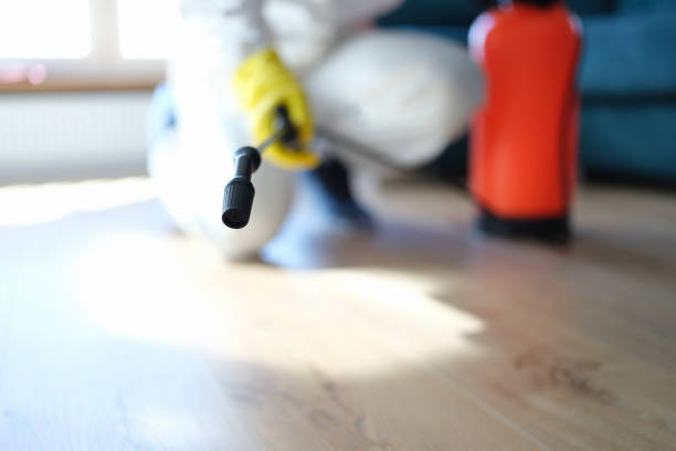 Owenton, KY Mold Removal Company