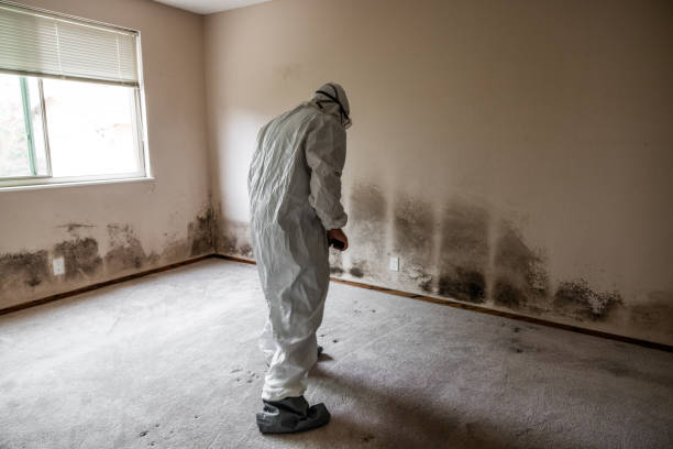 Best Post-Construction Mold Inspection  in Owenton, KY
